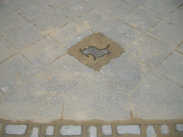 071025_kaninchen_in_beton.jpg (22007 Byte)