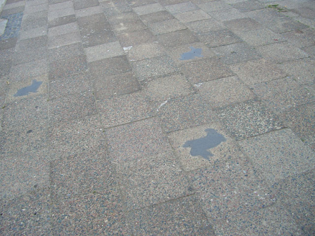 080621_kaninchenfeld_2_detail4