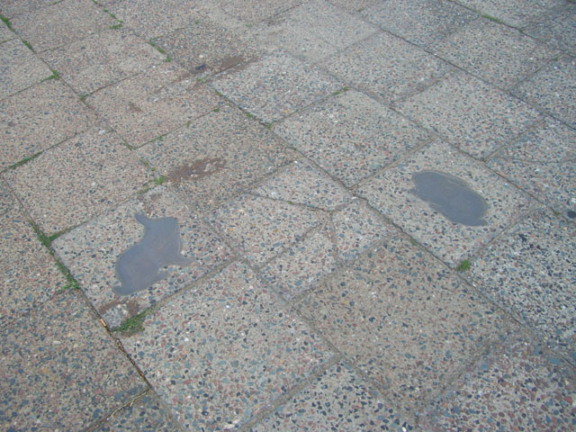 080621_kaninchenfeld_2_detail5