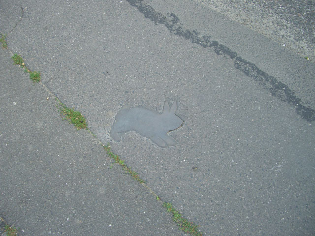 080621_kaninchenfeld_2_detail6