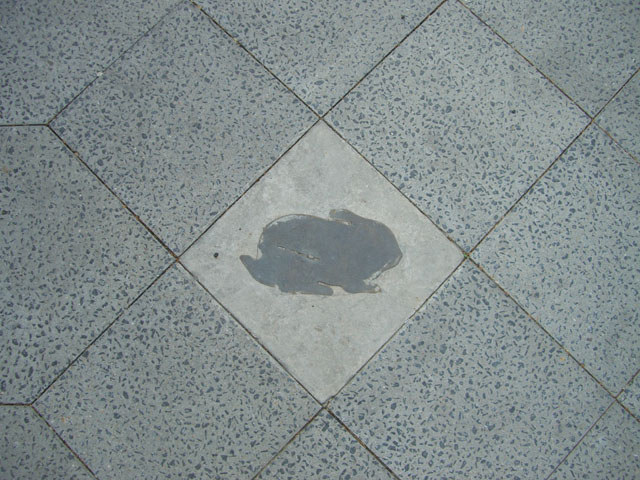 080621_kaninchenfeld_2_detail7