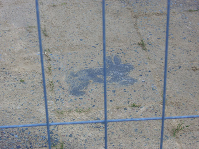 080621_kaninchenfeld_3_baustelle05