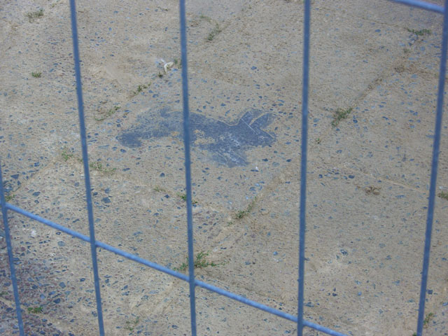 080621_kaninchenfeld_3_baustelle06