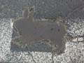 080621_kaninchenfeld_2_detail3