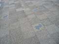 080621_kaninchenfeld_2_detail4