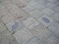 080621_kaninchenfeld_2_detail5