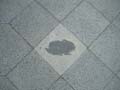 080621_kaninchenfeld_2_detail7