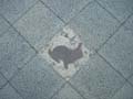 080621_kaninchenfeld_2_detail8