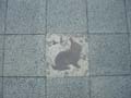 080621_kaninchenfeld_2_detail9
