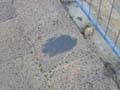 080621_kaninchenfeld_3_baustelle03