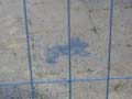 080621_kaninchenfeld_3_baustelle05