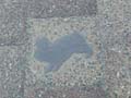 080722_kaninchenfeld_baustelle17