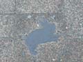 080722_kaninchenfeld_baustelle18
