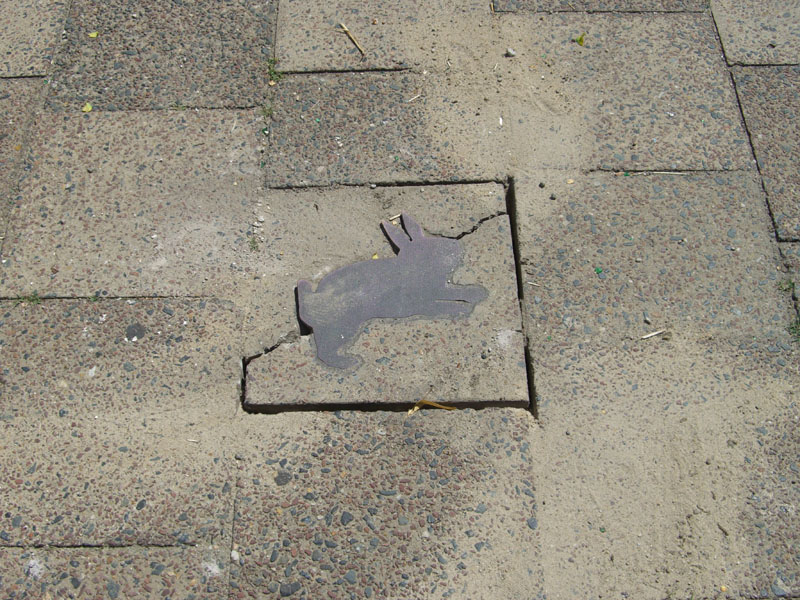 080727_versuchter_kaninchenraub_2