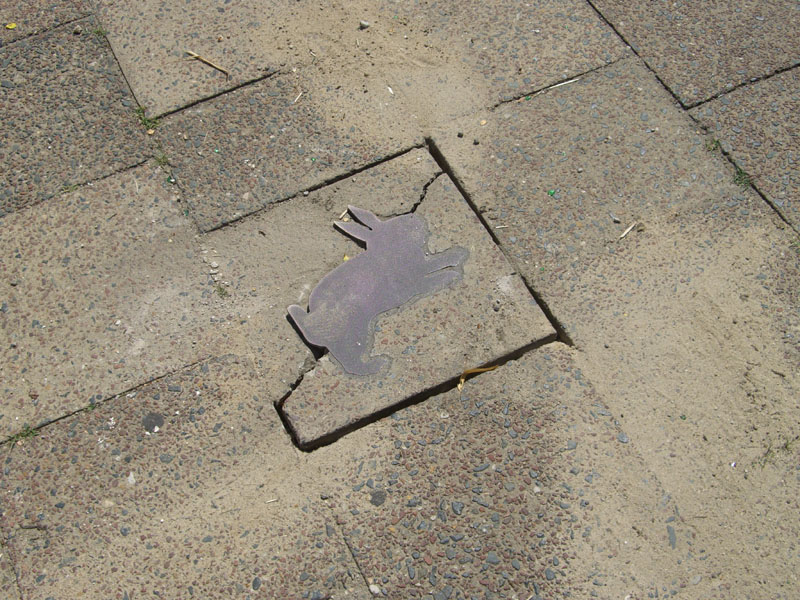080727_versuchter_kaninchenraub_3
