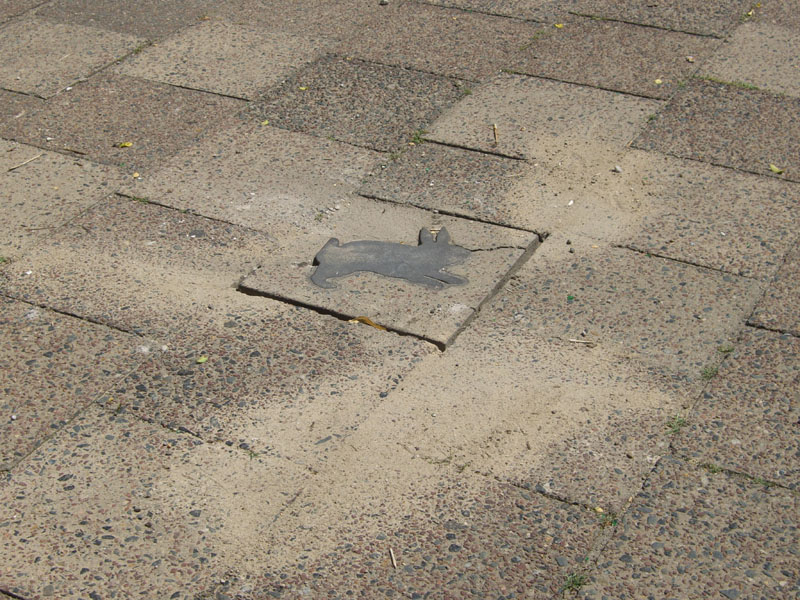 080727_versuchter_kaninchenraub_7