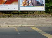 080727_versuchter_kaninchenraub_1
