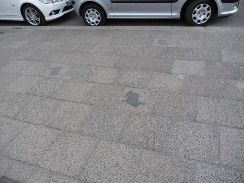 090429_Kaninchenfeld_18
