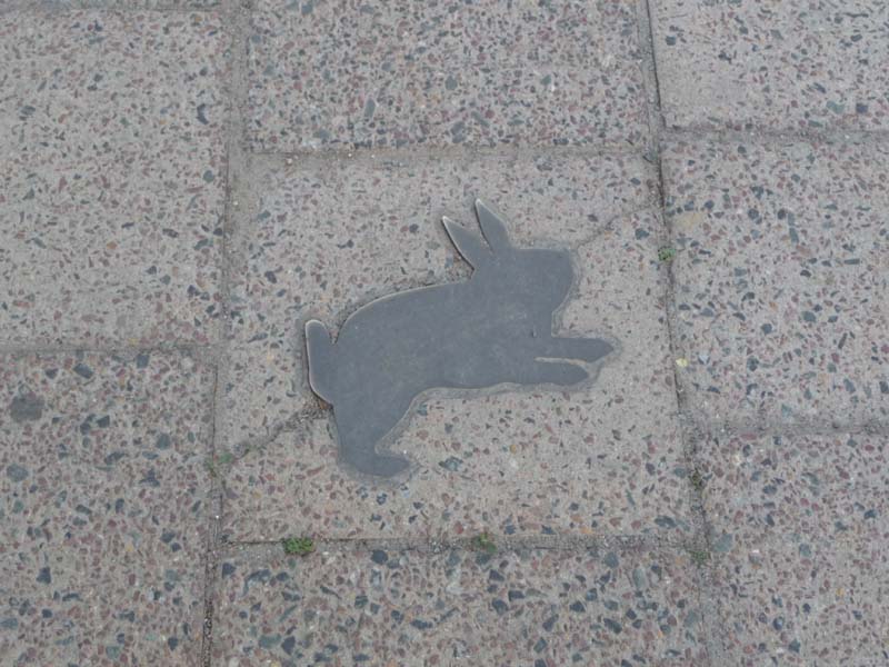 090429_Kaninchenfeld_19