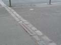 090429_Kaninchenfeld_02