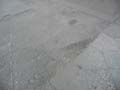 090429_Kaninchenfeld_04