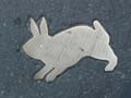 090429_Kaninchenfeld_06