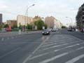 090429_Kaninchenfeld_10
