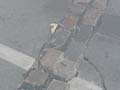090429_Kaninchenfeld_12