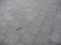 090429_Kaninchenfeld_13