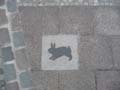 090429_Kaninchenfeld_14