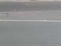 090429_Kaninchenfeld_17