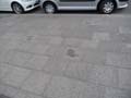 090429_Kaninchenfeld_18