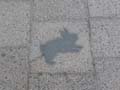 090429_Kaninchenfeld_19