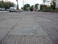 090429_Kaninchenfeld_20