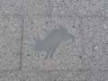 090429_Kaninchenfeld_21