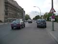 090429_Kaninchenfeld_22