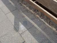 100324_Kaninchenfeld_03