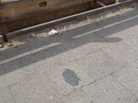 100324_Kaninchenfeld_04
