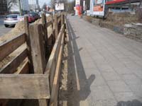 100324_Kaninchenfeld_05