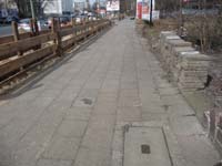 100324_Kaninchenfeld_06