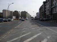 100324_Kaninchenfeld_12