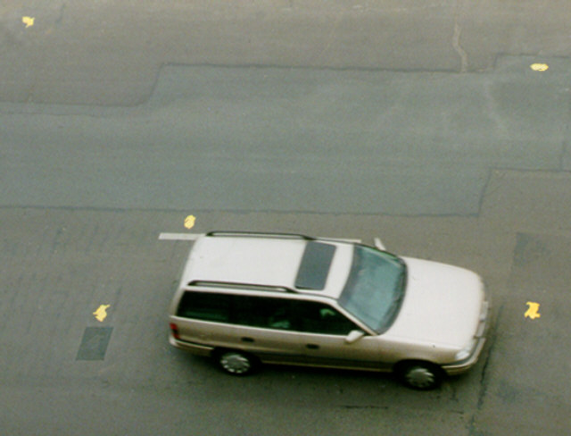 99_kanin_von_oben.jpg (60871 Byte)